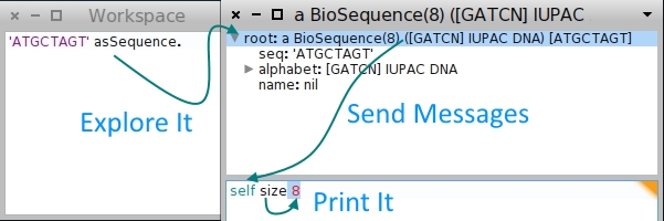 BioSmalltalk Screenshot